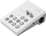 Roland GO:LIVECAST