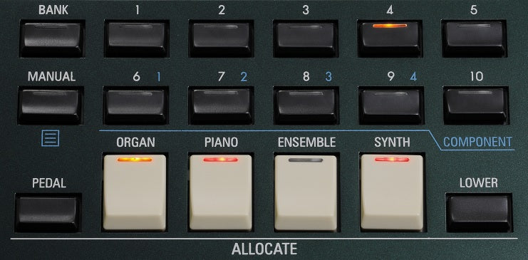 Hammond SK PRO 61