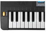 SUPRIMO 6109L Keyboard med Lysende Tangenter, Mikrofon og Nodestativ