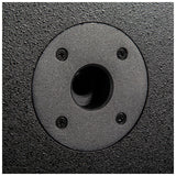 V-TONE NBS-115 active subwoofer (15”)